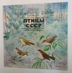 Винтажная виниловая пластинка LP Воробьиные: Пеночки И Пересмешники (Passeriformes: Leaf Warblers and Hippolais Warblers) (СССР 1987)