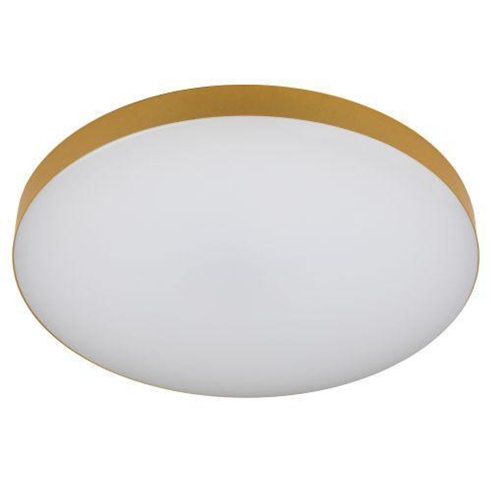 Светильник светодиодный Relict 48 Pult SPB-6-60-RC MG 60Вт 3000-6500К потолочный с ДУ золото ЭРА Б0059498 Светильник светодиодный Relict 48 Pult SPB-6-60-RC MG 60Вт 3000-6500К потолочный с ДУ золото ЭРА Б0059498