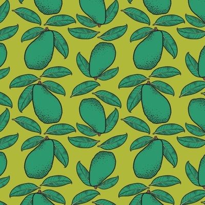 Авокадо на салатовом фоне