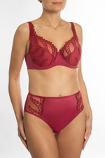 2949/M трусы "Сангрия с вышивкой"