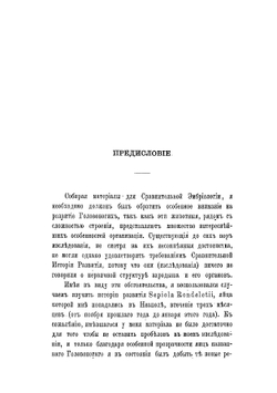 История эмбрионального развития Sepiola | Мечников Илья Ильич