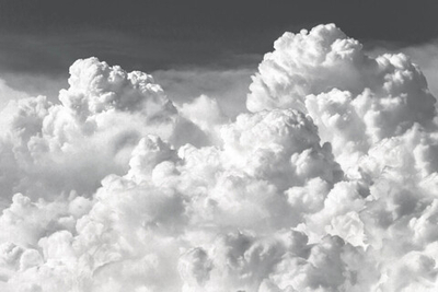 Дизайнерские обои Wall Street Euphoria-2019