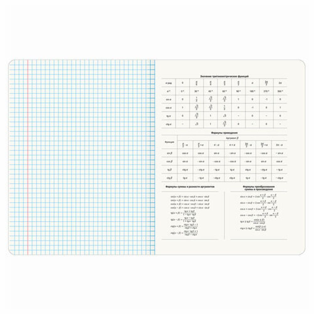 Тетради предметные, КОМПЛЕКТ 12 ПРЕДМЕТОВ, 48 л., рельефный картон, BRAUBERG "BLOSSOM", 405179