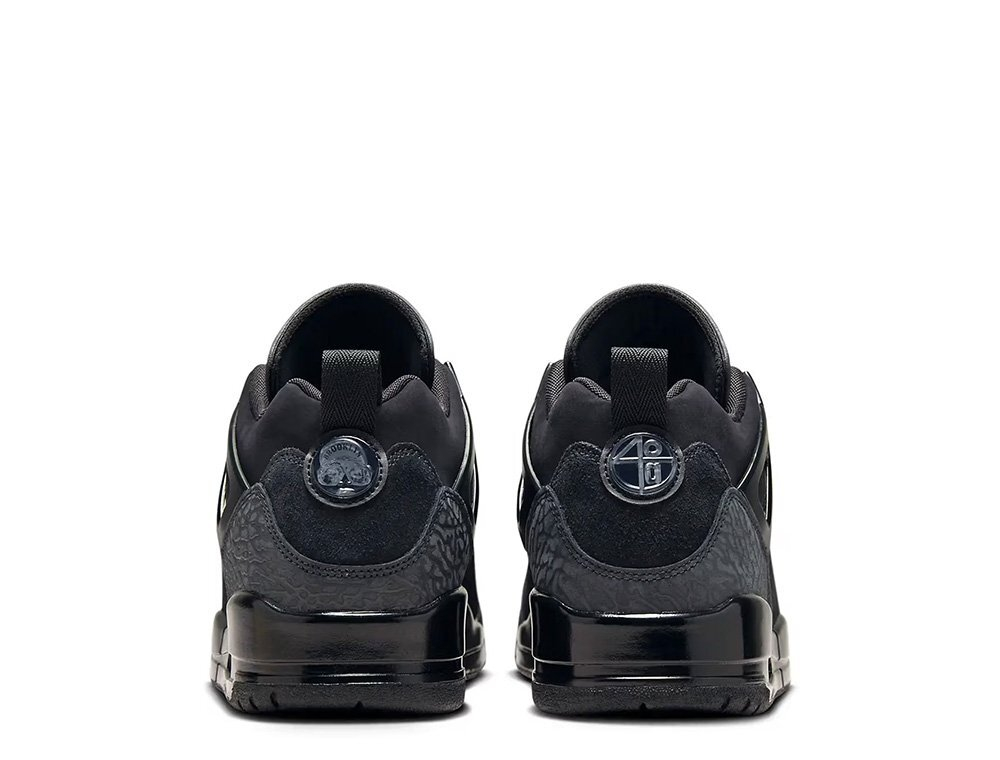 Баскетбольные кроссовки Jordan Spizike Low Shoes Black