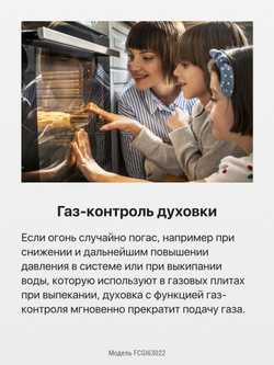 Газовая плита Hansa FCGI63022