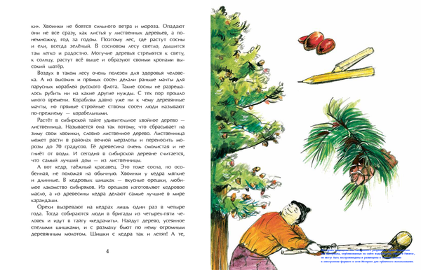 Тайга. Удивительный лес