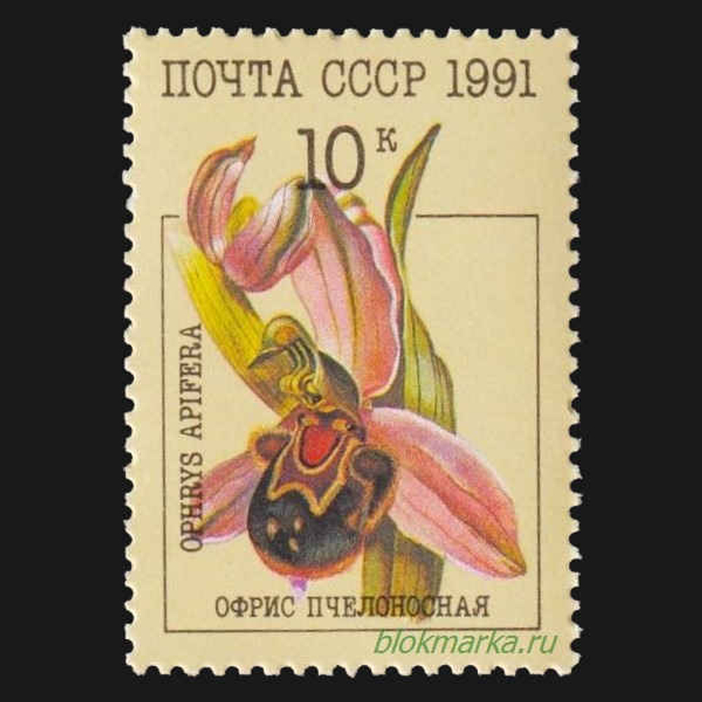 СССР 1991 г № 6315-6319 Серия Орхидеи Чистая MNH **