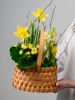 Аромат солнца