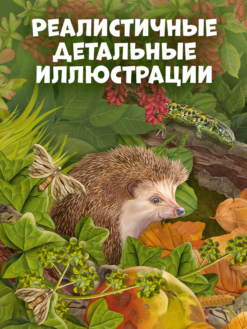 Удивительные энциклопедии. Секреты осеннего леса. Визуальная энциклопедия