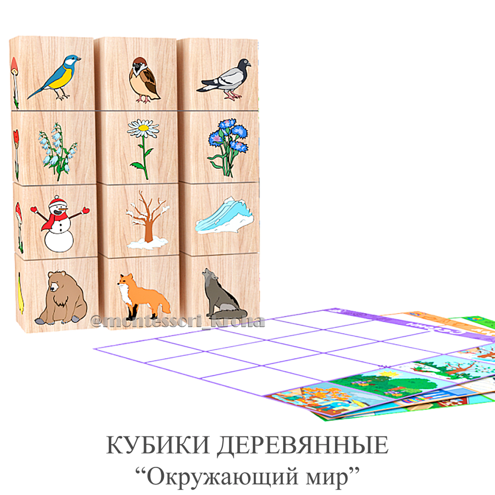 Настольная игра «ОКРУЖАЮЩИЙ МИР» с деревянными кубиками