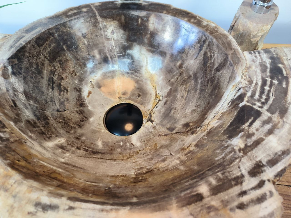 Раковина из окаменелого дерева OD-65791 54х39х15 из натурального камня