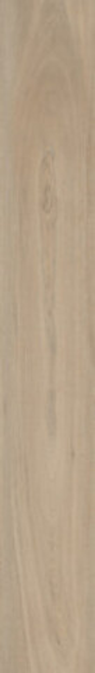 Керамогранит Lignum-R Mellow R10