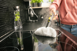 Пароочиститель SC 3 EasyFix LIMITED EDITION