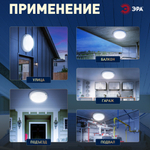 Светильник ЖКХ светодиодный ЭРА SPB-201-0-65K-008 IP65 8Вт 6500К D140 круг