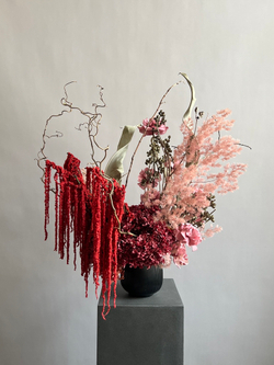 Композиция в кашпо Стрелиция