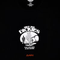  Футболка мужская Dickies Timberville Tee артикул:DK0A4YR3BLK1 - купить в магазине Дайс