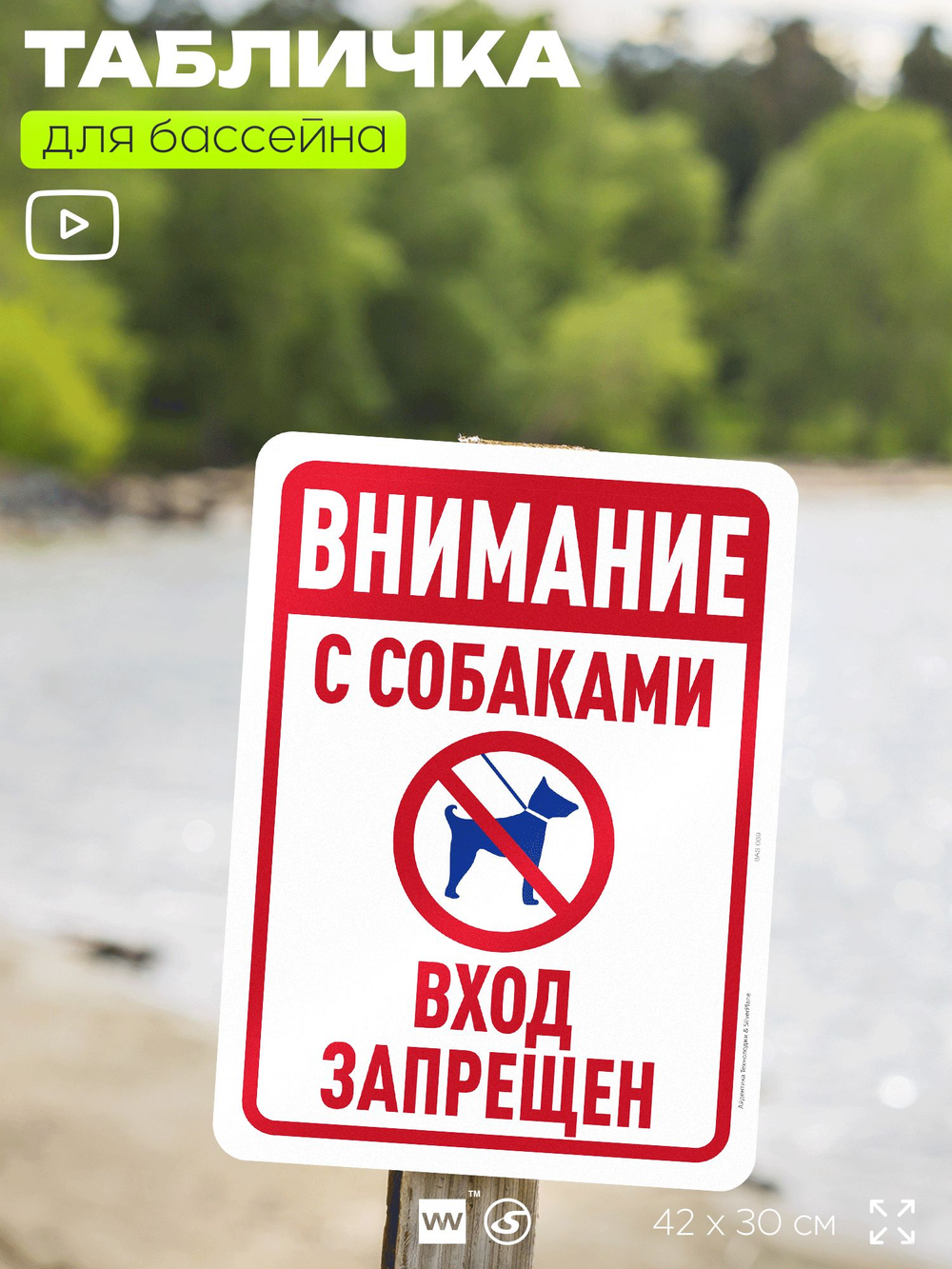 Табличка для бассейна "Внимание, с собаками вход запрещен", на пляж, для общественной и частной зоны отдыха, информационная, 40х30 см, Silver Plane x Айдентика Технолоджи