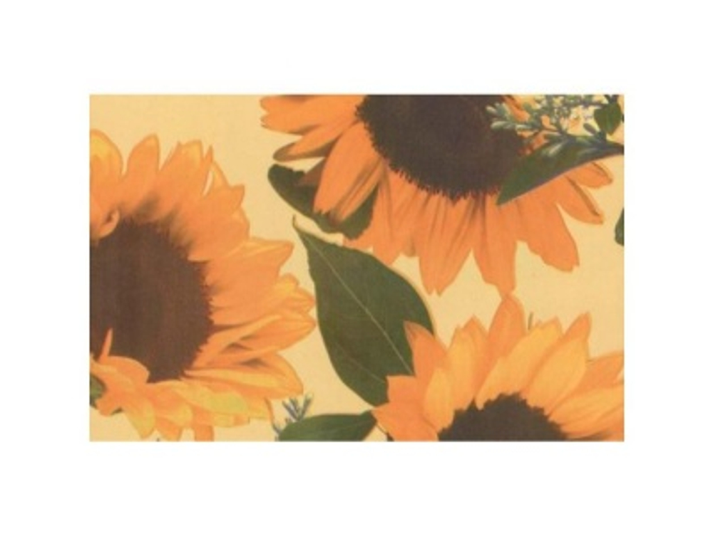 Пленка самоклеющаяся "FARBE" подсолнухи 0,45*8м