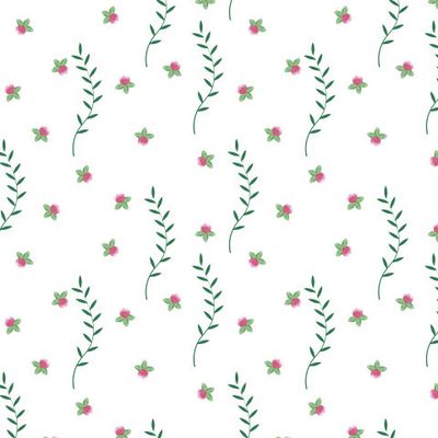 Клевер цветок веточка белый