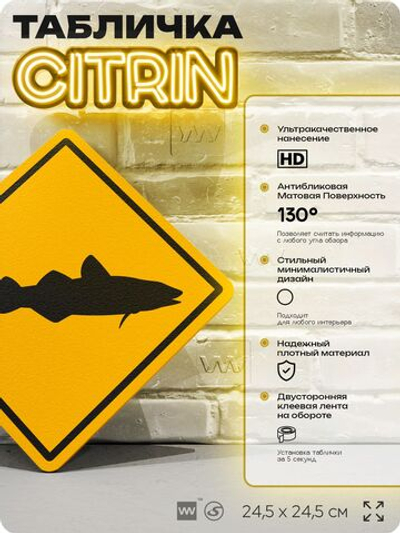Табличка декоративная "Навага" на дверь и стену, информационная и предупреждающая, декоративный знак, 24,5х24,5 см, пластиковая, Айдентика Технолоджи