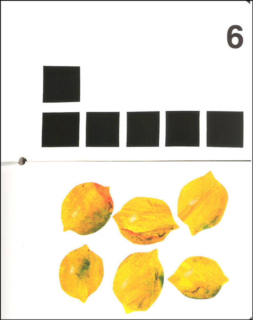 My Very First Book of Numbers  (board book)