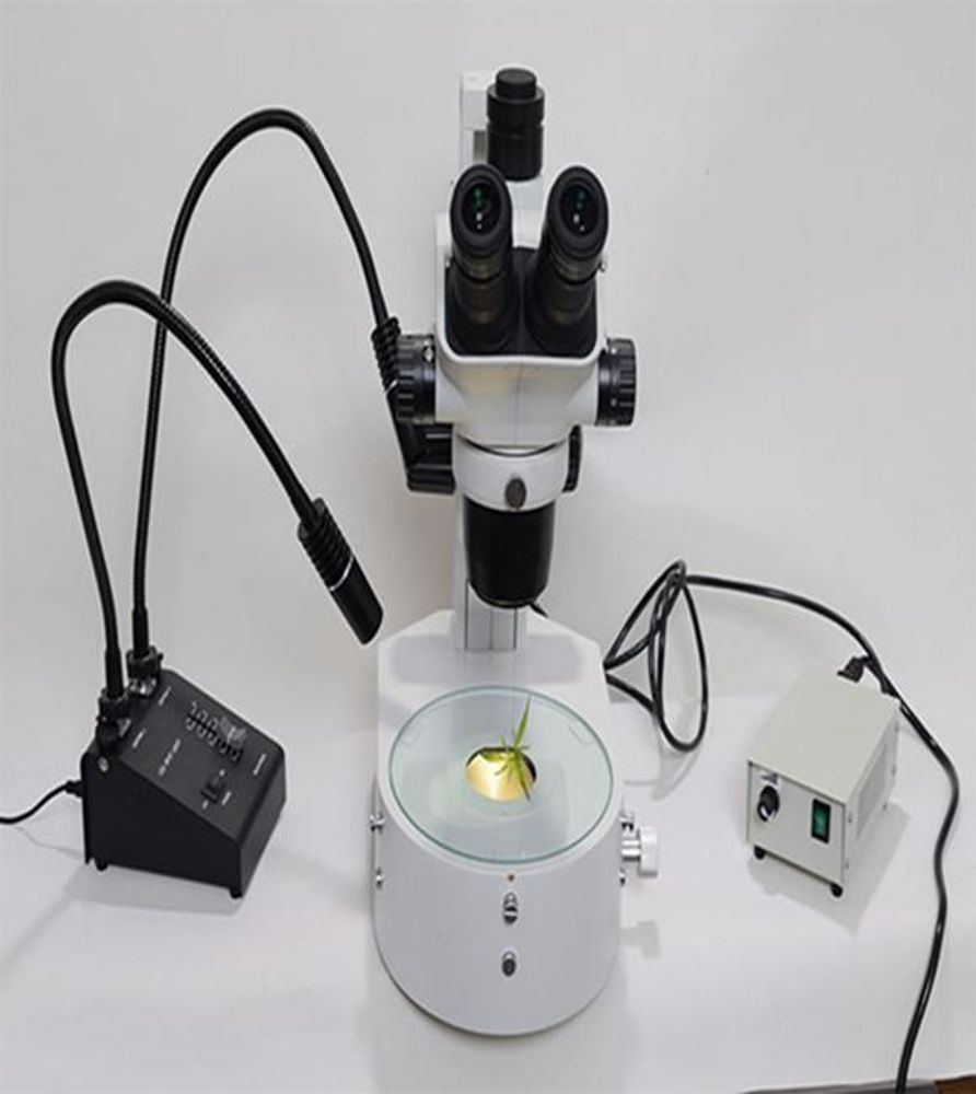 Zoom-2180 отражатель Регулируемый базовый визуальный микроскоп визуального отображения