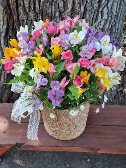 Яркие альстромерии в кашпо