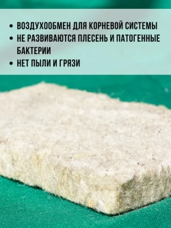 Агровата набор для выращивания микрозелени, 50 ШТ