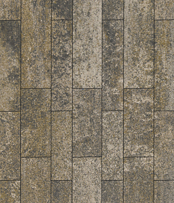 Тротуарная плитка ВЫБОР, форма Паркет, h=80мм