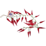 Муляж «Перчик Чили» связка 45см