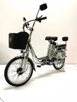 Электровелосипед Green Camel Транк 20 V8 40км