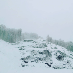 Грифон