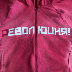 Зип-худи "Эволюция"