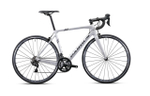 Шоссейный велосипед Pardus Robin Sport Rim 105 (2024)
