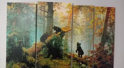 Елена Линенко