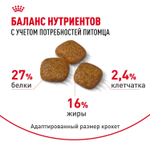 Royal Сanin Mini Urinary Care Корм сухой для собак мелких размеров 1 кг