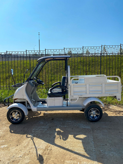 Гольфкар GreenCamel A2C (2+Cargo 2500W 225/40-10' литые)