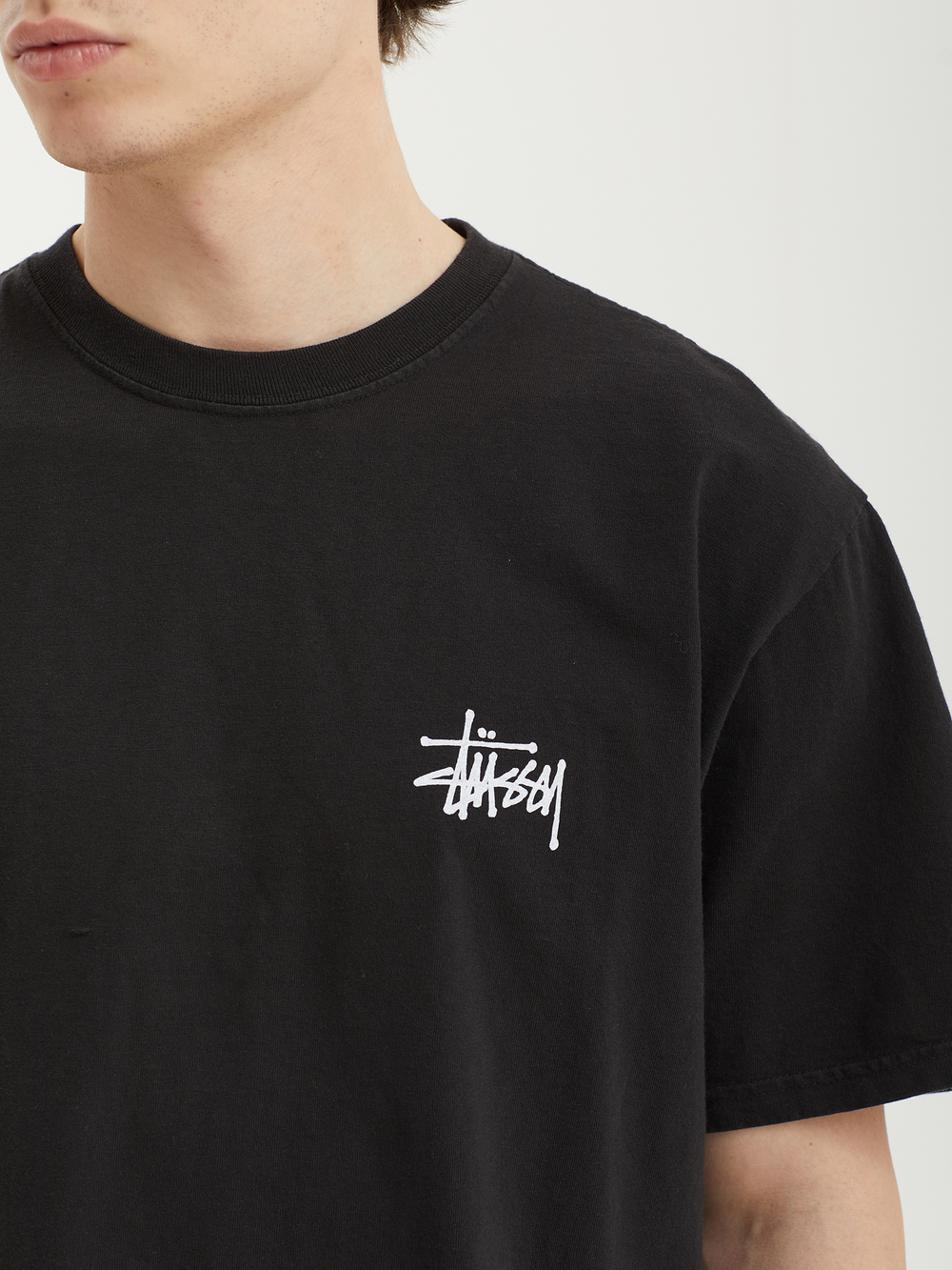 Мужская Футболка Basic Stussy Pig. Dyed