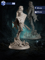 Дуэлянт Пылающей Тени миниатюры для настольных игр РНИ, ДнД