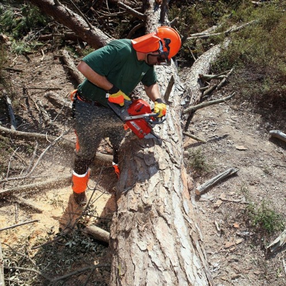 Бензопила EFCO MT 6500 50259002E1