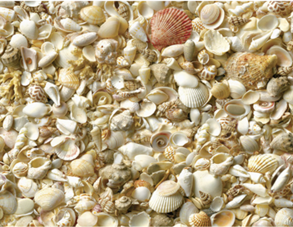 Панель SP 020 2800х610х6