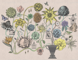 Коллекция Grafika Natura