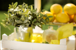 Lemon Party