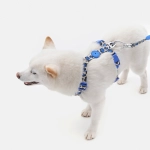 Анатомическая шлейка Midnight Safari