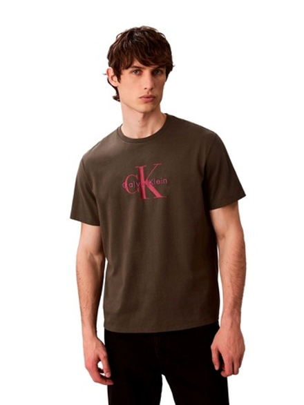 Футболка Calvin Klein Monologo Beluga