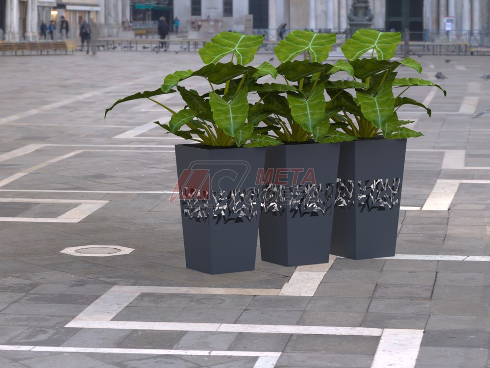 Вазон Прима