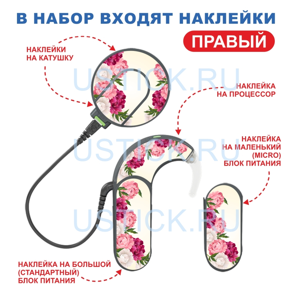 SONNET2 "Пионы"