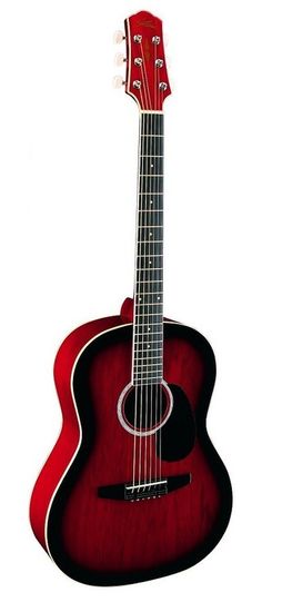 Акустическая гитара Naranda CAG240RDS