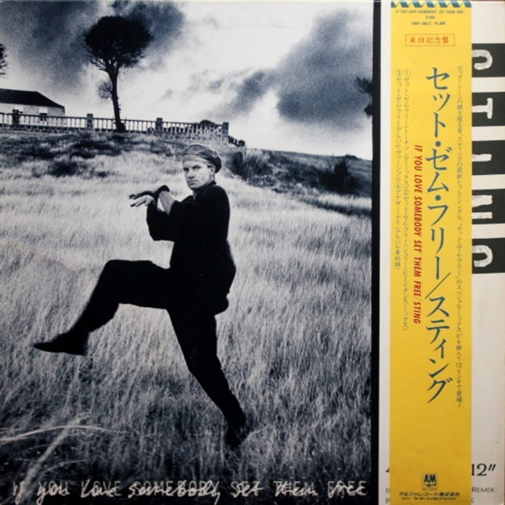 Sting / If You Love Somebody Set Them Free (12" Vinyl)