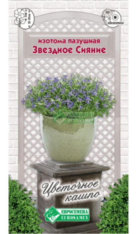 Изотома пазушная Звездное Сияние 5 шт. (ЕС)